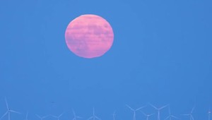 Xuất hiện “siêu trăng” ở trang trại gió