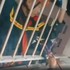 Giải cứu thành công bé 2 tuổi mắc kẹt ở tầng 16 chung cư Hoàng Anh Gia Lai