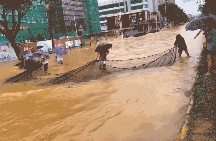 Người dân thả lưới bắt cá trên đường phố vì mưa to ngập lụt