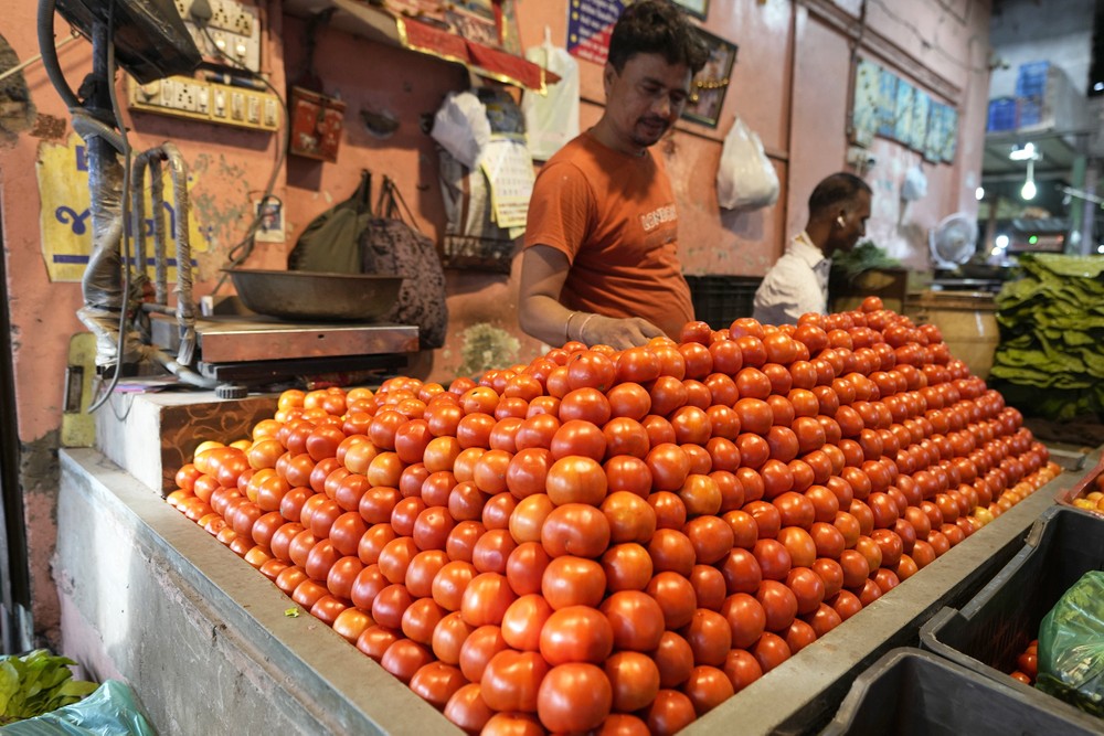 Giá cà chua đã tăng đột biến tại Ấn Độ trong thời gian qua