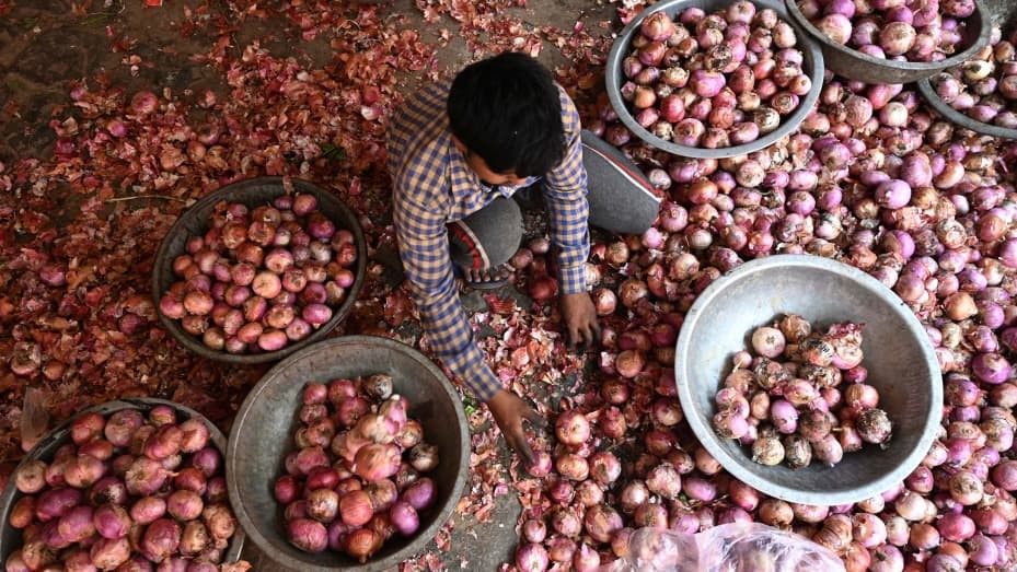 Một người bán đang phân loại hành tây tại chợ rau ở thành phố New Delhi, Ấn Độ