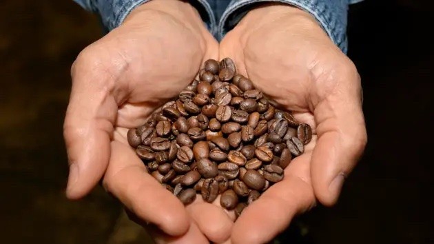 Citigroup: Giá cacao và cà phê chưa có dấu hiệu hạ nhiệt