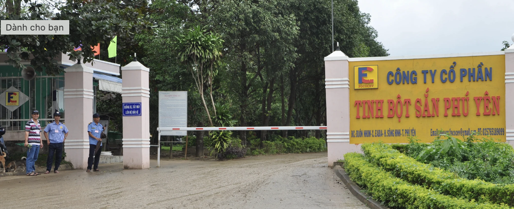 Công ty tinh bột sắn Phú Yên bị phạt gần 3,4 tỷ đồng do xả thải sai quy định