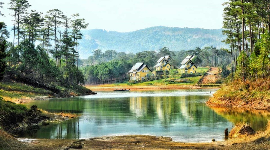 Gần 3.000m2 rừng thông sẽ được chặt hạ để tiếp tục xây dựng Khu nghỉ khách sạn - resort Lạc Hồng. Ảnh minh họa