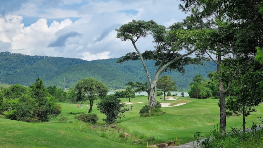 Vụ việc phá rừng làm sân golf The DaLat At 1.200 có dấu hiệu tội hủy hoại rừng