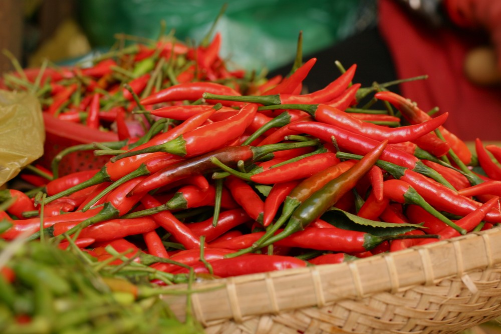 Ớt Việt Nam xuất khẩu sang Hàn Quốc và Đài Loan bị tăng cường kiểm tra an toàn thực phẩm