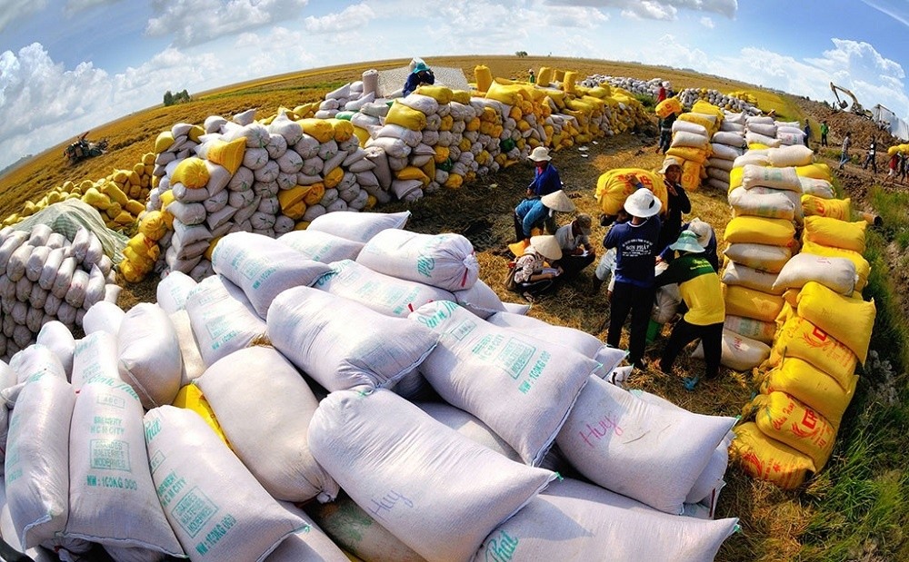 Xuất khẩu gạo thu về gần 1,4 tỷ đồng trong quý 1/2024