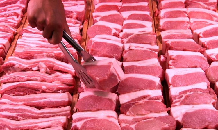 Dịch tả lợn châu Phi tái bùng phát tại huyện Na Rì, tỉnh Bắc Kạn khiến người chăn nuôi lo lắng