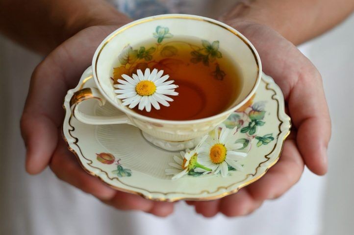 Uống trà hoa cúc có tác dụng gì thần kỳ?