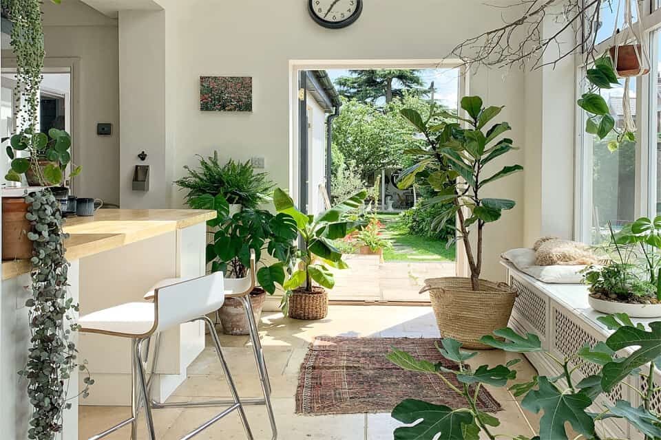 Chọn ngay cây xanh giúp lọc không khí cho nhà bạn thêm trong lành