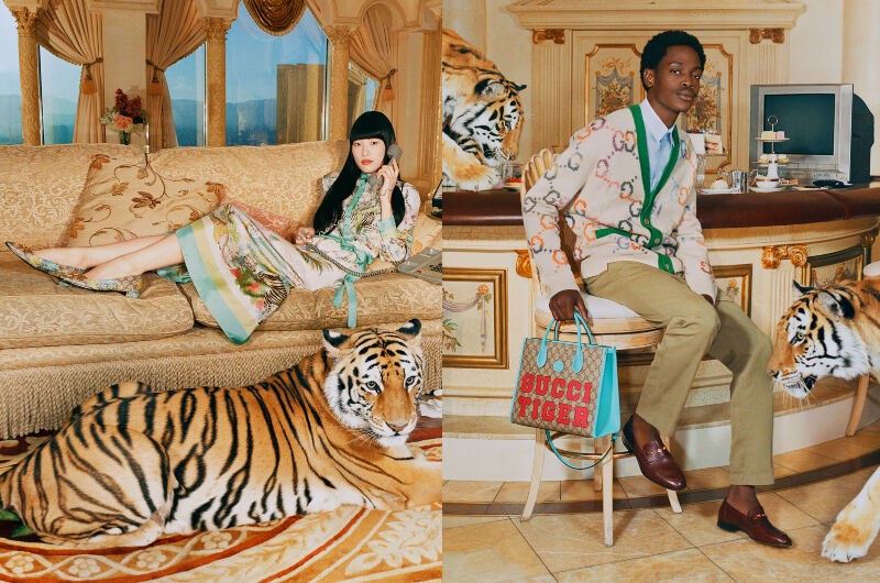 Gucci Tiger- BST Ready-to-wear chào đón năm Nhâm Dần 2022