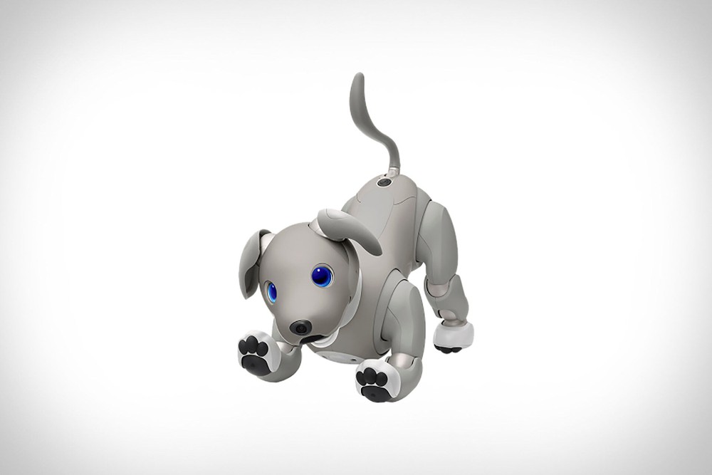 Sony ra mắt chú chó Robot Aibo phiên bản giới hạn
