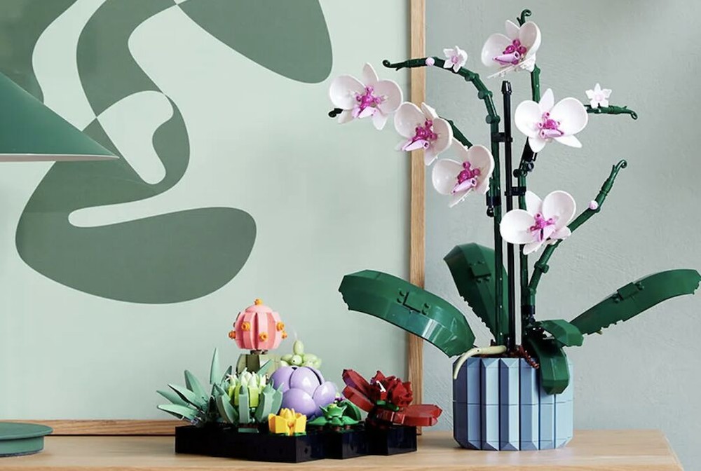 LEGO Creator mang phong lan và cây mọng nước tới Bộ sưu tập Thực vật của mình