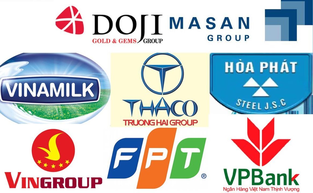 Trường Hải, Vinamilk, Hòa Phát, DOJI... lọt Top 10 công ty tư nhân lớn nhất Việt Nam 2016