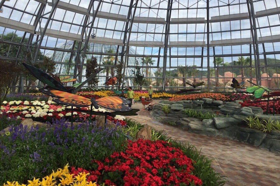 Vinperal Land mở cửa đồi vạn hoa – công viên thực vật 5 châu độc đáo Việt Nam