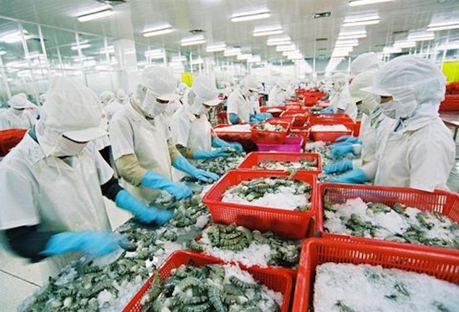 70 triệu cổ phiếu Thủy sản Minh Phú trở lại Upcom, tăng chạm trần 122.000 đồng/CP