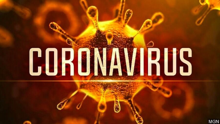Bộ Y tế công bố đường dây nóng 24/7, xử lý nghiêm kẻ tung tin giả về virus corona