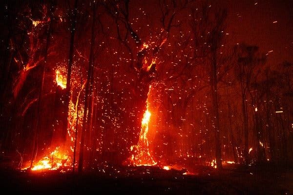 Úc cảnh báo về những thảm hoạ cháy rừng tiếp tục xảy ra