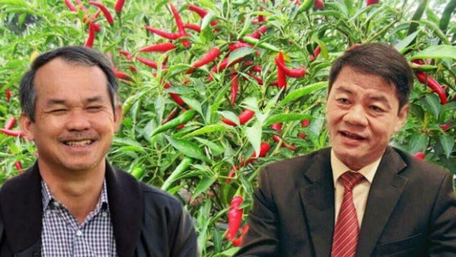 Thaco tiếp tục mua vào bất thành 5 triệu cổ phiếu HNG của HAGL Agrico