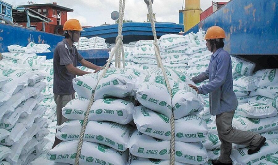 Giá gạo Việt Nam xuất khẩu tăng mạnh so với năm trước