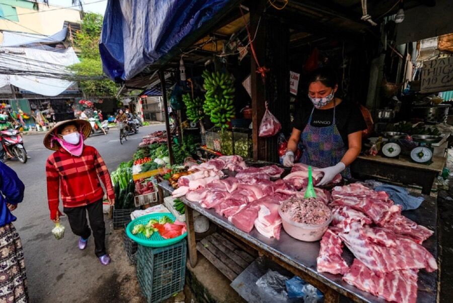 Nhập khẩu tăng trên 200%, giá thịt lợn sẽ giảm?