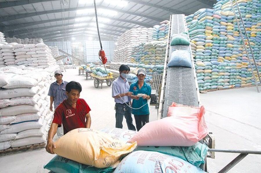 Xuất khẩu gạo: Bài toán về giá và quyền lợi quốc gia