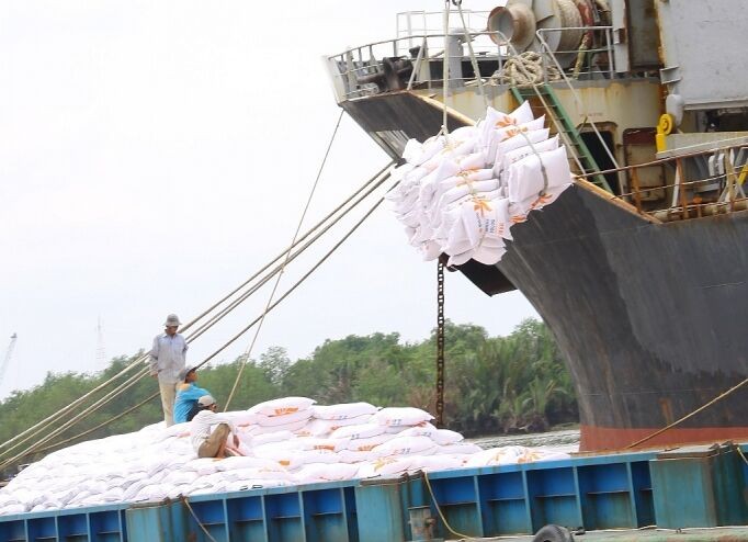 Từ 0 giờ ngày 25/04, mở tờ khai xuất khẩu gạo tồn ở cảng