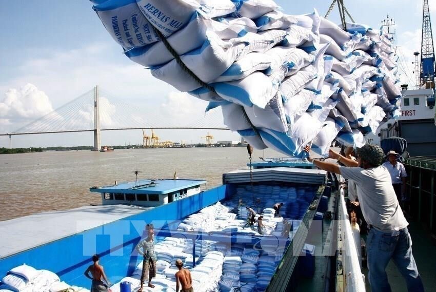 Kiến nghị cho xuất khẩu gạo tồn đọng ở cảng sau ngày 24/03/2020