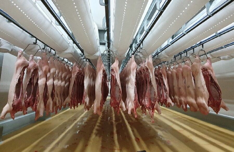 Giá thịt lợn trong nước sẽ "giảm nhiệt" nhờ nhập lợn sống?