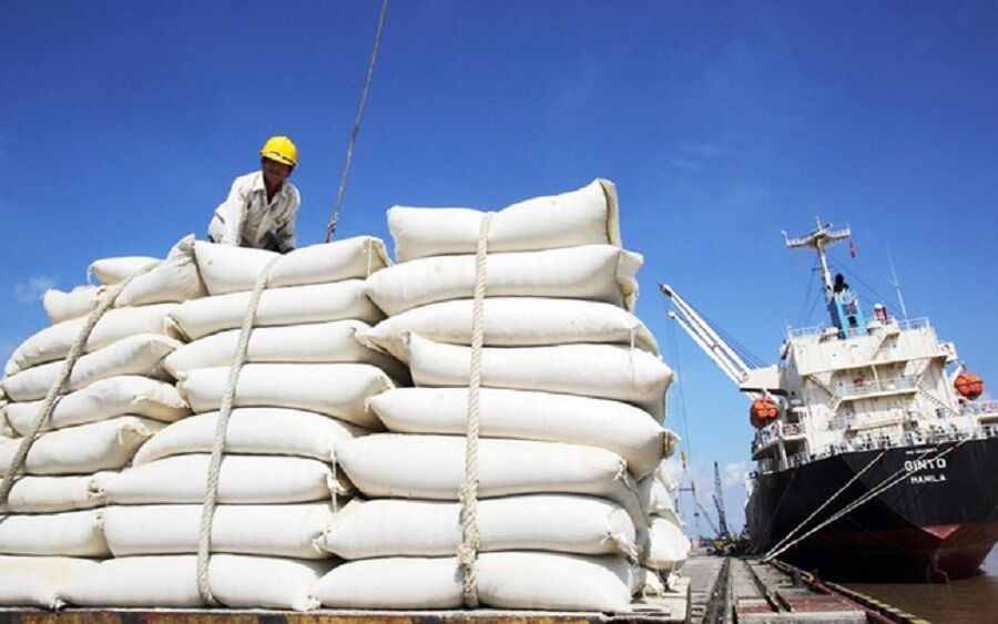 Việt Nam trúng thầu cung cấp 30 nghìn tấn gạo trắng cho Philippines