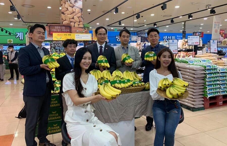 Chuối Việt Nam chính thức được bày bán trong siêu thị của Lotte Mart tại Hàn Quốc