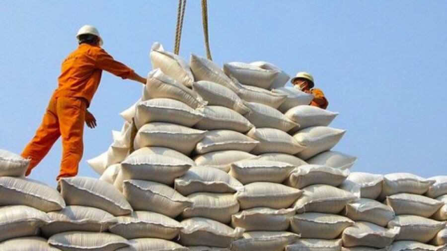 Mỗi năm, 80.000 tấn gạo của Việt Nam sẽ vào thị trường EU theo Hiệp định EVFTA