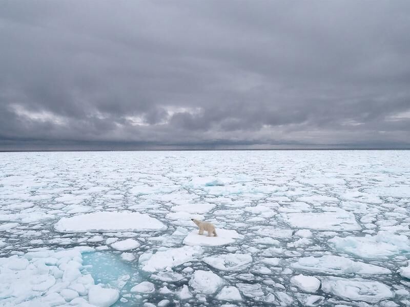 Biến đổi khí hậu: Sóng nhiệt Siberia gây cháy rừng, tan băng ở Bắc Cực