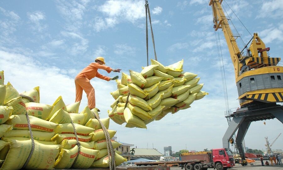 Hiệp định EVFTA, thời cơ lớn cho doanh nghiệp xuất khẩu gạo