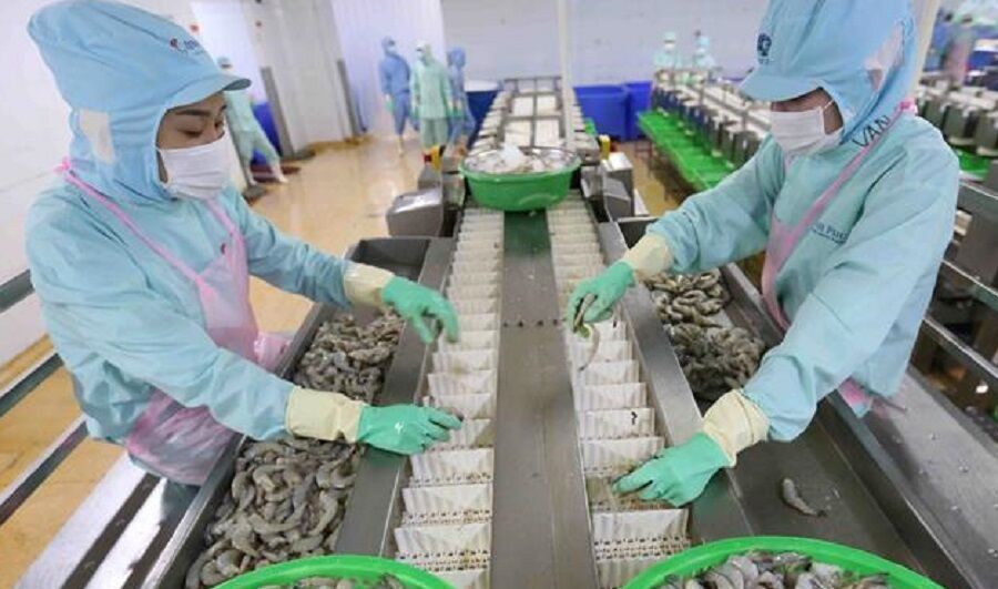 Hoa Kỳ không áp thuế chống bán phá giá tôm xuất khẩu của Công ty Minh Phú