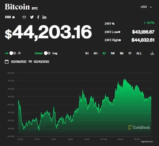Giá bitcoin ngày 10/2: Thị trường đồng loạt tăng giá
