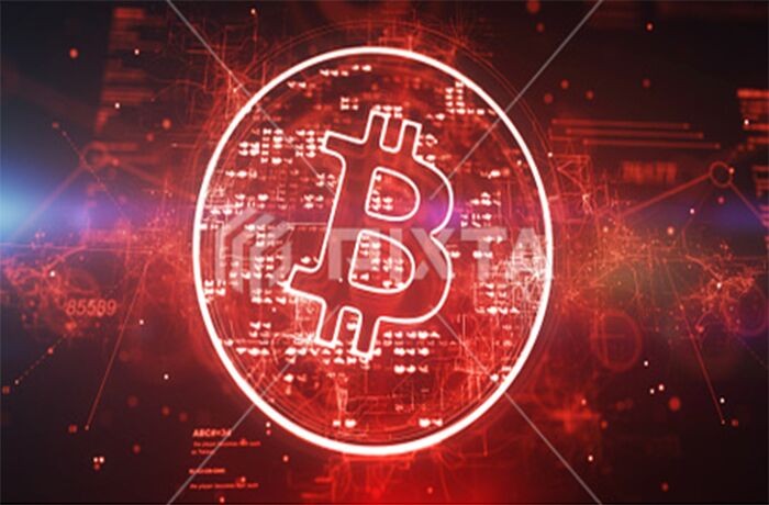 Ngày 11/2: Bitcoin sụp đổ, thị trường nhuốm đỏ