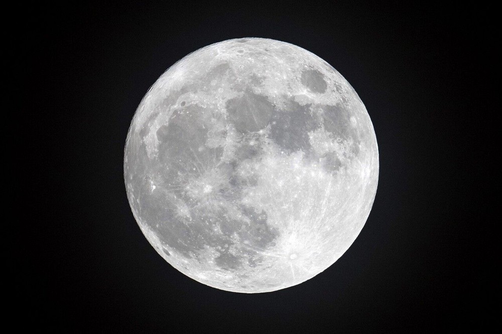 Nghệ sĩ Jeff Koons sẽ phóng tác phẩm điêu khắc của mình lên bề mặt mặt trăng