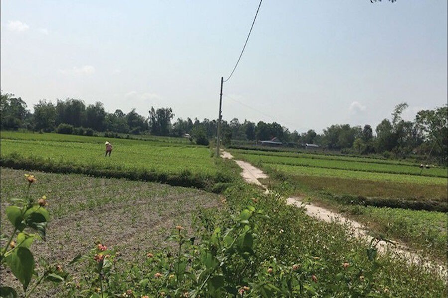 Đà Nẵng: Rủi ro với dịch vụ chuyển muc đích đất nông nghiệp trên mạng xã hội