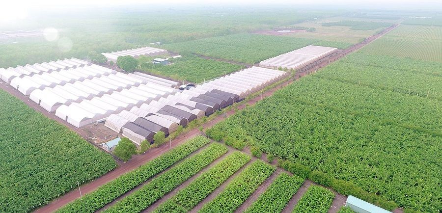 Quảng Ninh: Phê duyệt thêm khu nông nghiệp công nghệ cao 106 ha