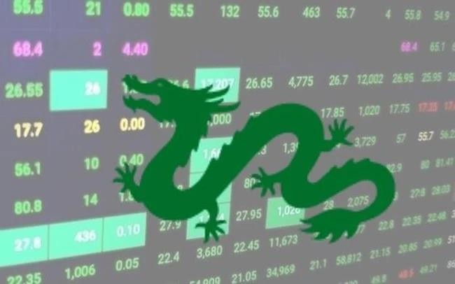 Dragon Capital gia tăng sở hữu cổ phiếu VHC, HDG và FRT