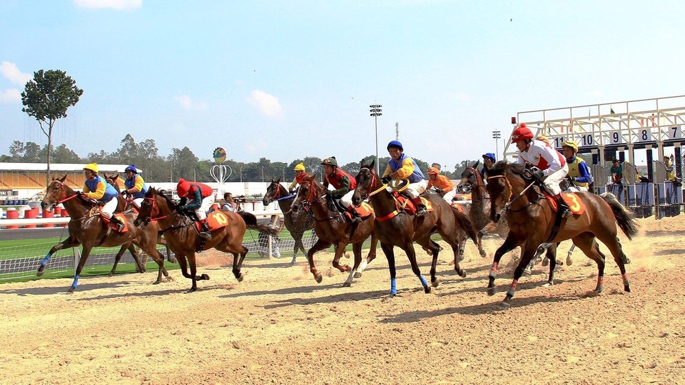 Hà Nội xin “gỡ vướng” cho trường đua ngựa triệu USD ở Sóc Sơn