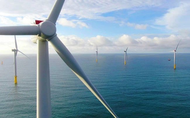 Liên danh T&T và Orsted (Đan Mạch) muốn làm dự án điện gió ngoài khơi 2,5 tỷ USD tại Thái Bình