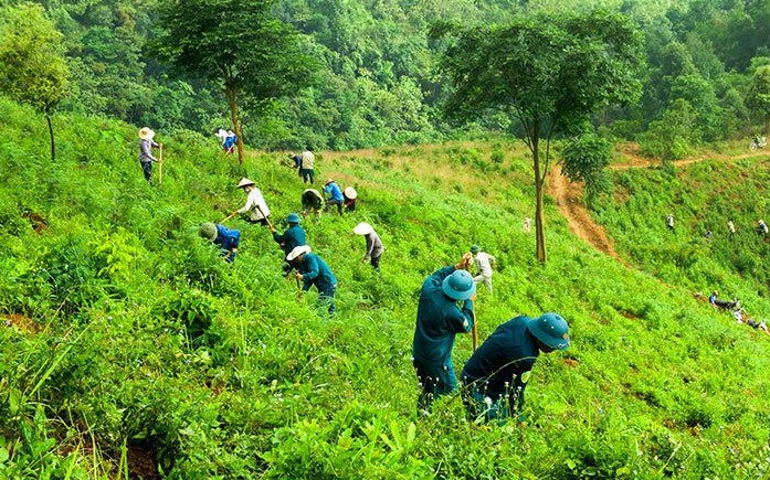 Bộ Quốc phòng giao lại 96,8 ha đất rừng tại Thanh Hóa cho nhân dân sản xuất