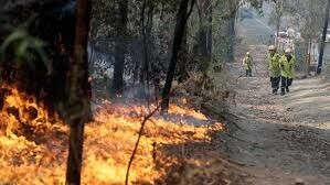 Cháy rừng tại Úc: Những thiệt hại nặng về về thiên nhiên, con người và kinh tế quốc gia