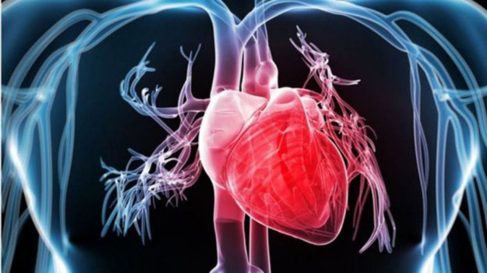 Y học tái sinh giúp phục hồi đến 70% các bệnh lý tim mạch