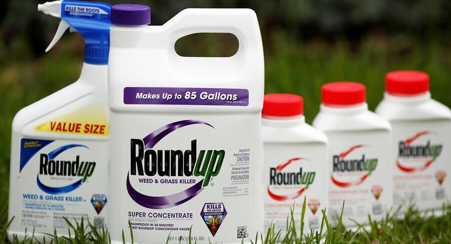 Toà án Mỹ kết luận thuốc diệt cỏ Monsanto gây ung thư