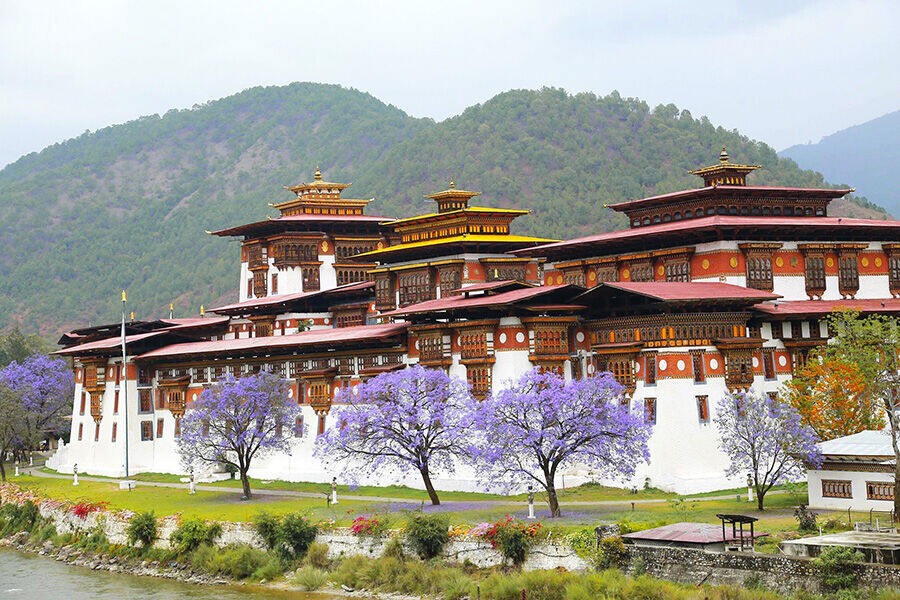 Lãng đãng ngày hè Bhutan để thưởng lãm những thảm hoa hồng rực rỡ