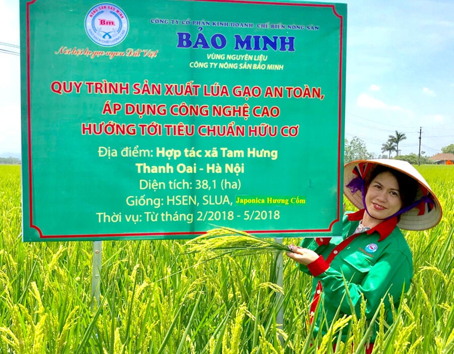 CEO Bảo Minh – Bùi Thị Hạnh Hiếu: Người ấp ủ giấc mơ mang “hạt ngọc” Việt toả sáng trời Tây
