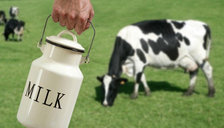 Mập mờ đánh lận “sữa tươi”: Cần Quy chuẩn quốc gia về sữa tươi nguyên liệu